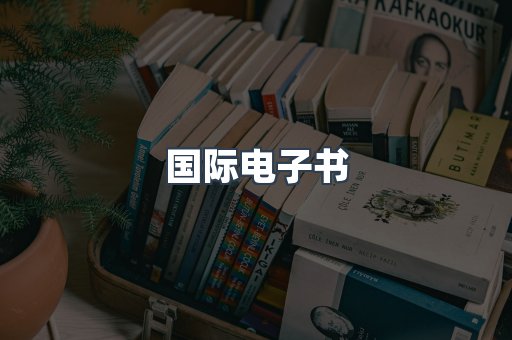 国际电子书